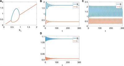 Hopf bifurcation and patterns in a modified SIR model